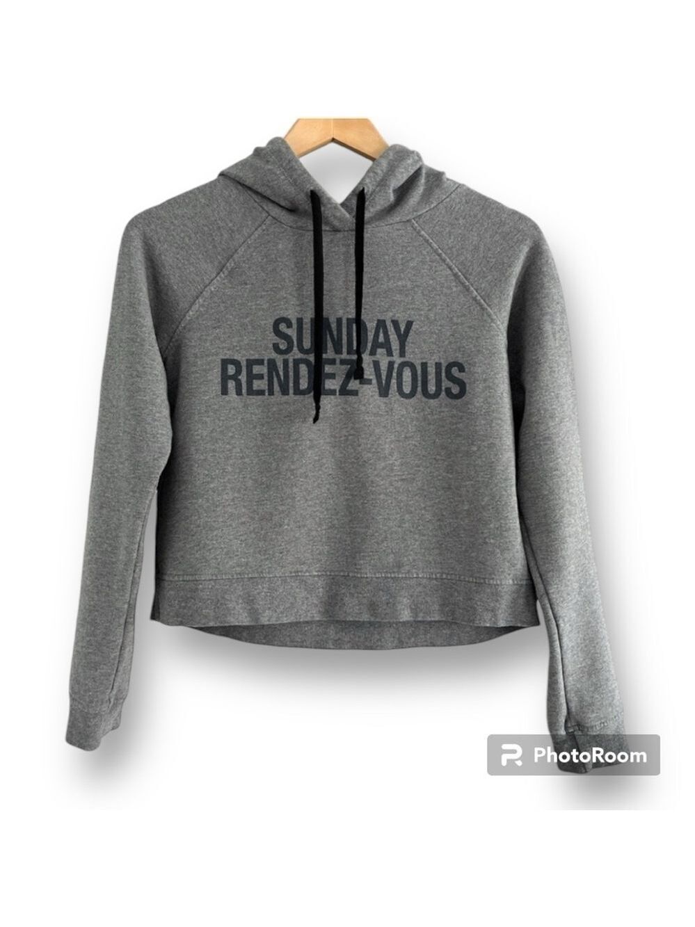 Aritzia Sunday Best Hooded Cotton Sweatshirt Crop Gray Size XXS